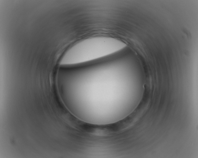 X0000114510508200910190932