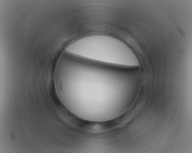 X0000114510509200910190932