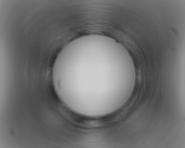 X0000114510514200910190932