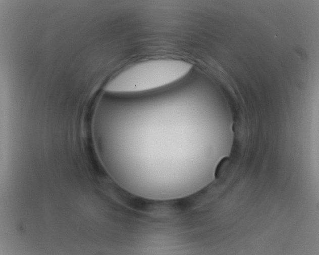 X0000114510516200910190932