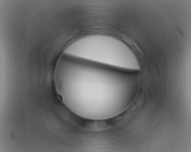 X0000114510517200910190932