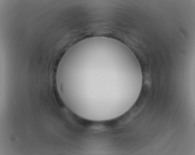 X0000114510519200910190932