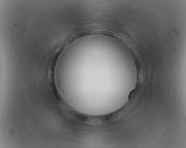X0000114510520200910190932