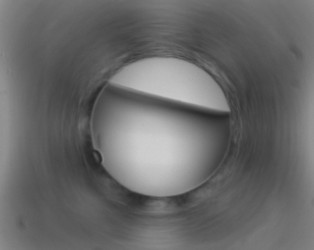 X0000114510521200910190932