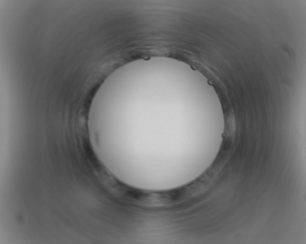 X0000114510522200910190931