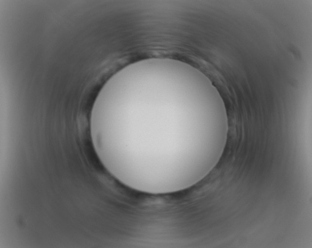 X0000114510523200910190931