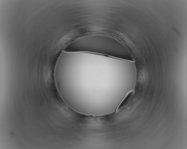 X0000114510524200910190931