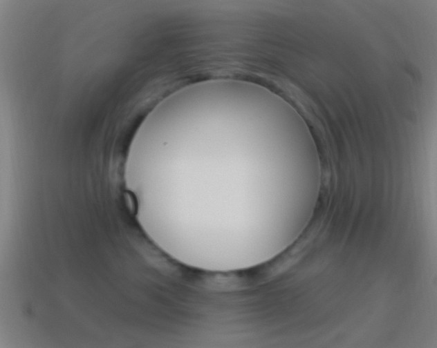 X0000114510525200910190931