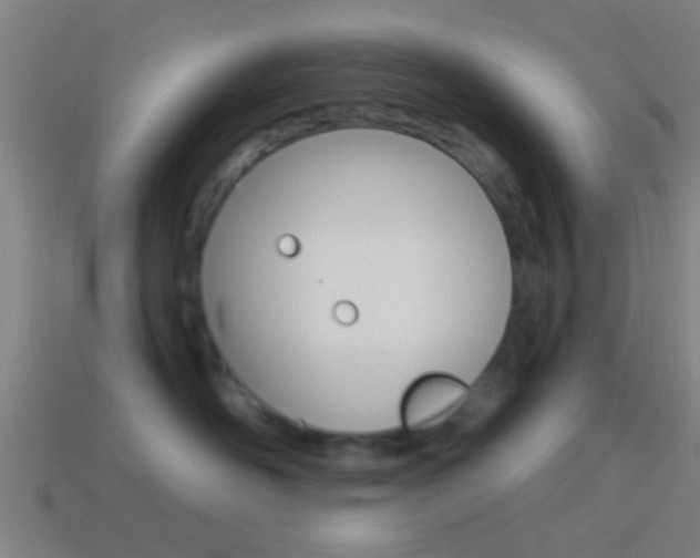 X0000114510526200910190931
