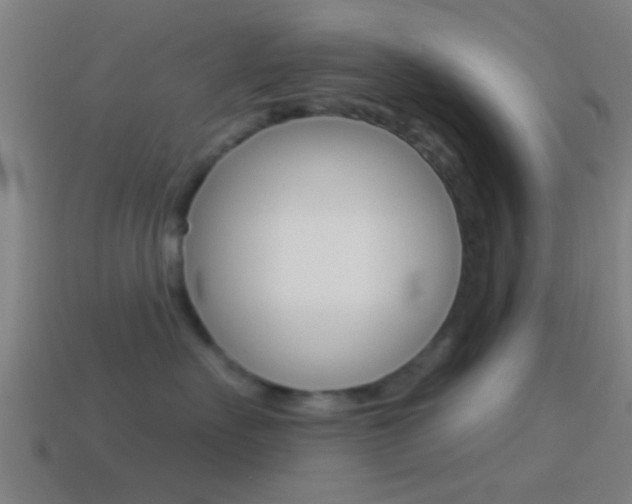 X0000114510527200910190931