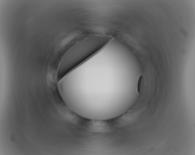 X0000114510528200910190931