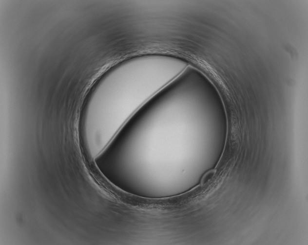 X0000114510530200910190931