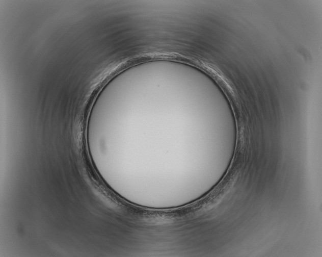 X0000114510533200910190931