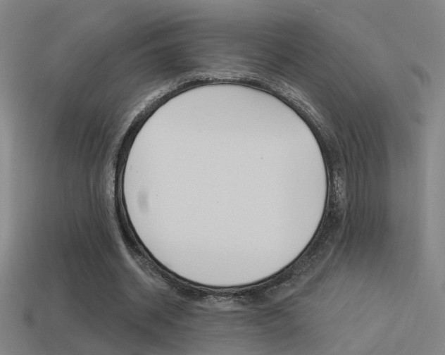 X0000114510534200910190931
