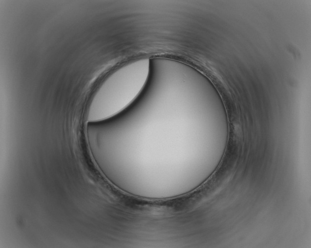 X0000114510539200910190931