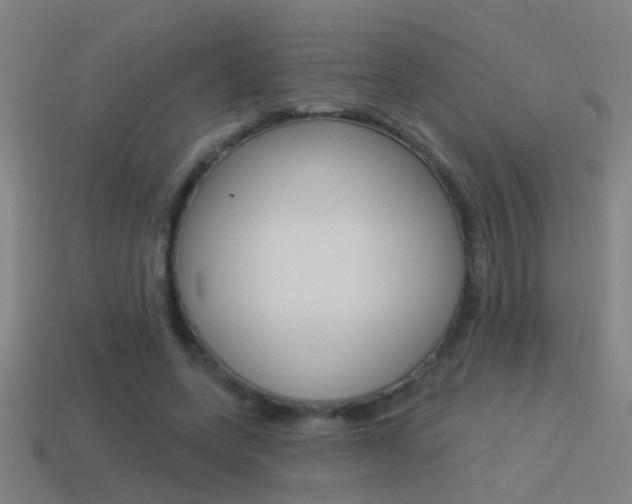 X0000114510543200910190931