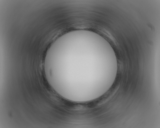 X0000114510549200910190931