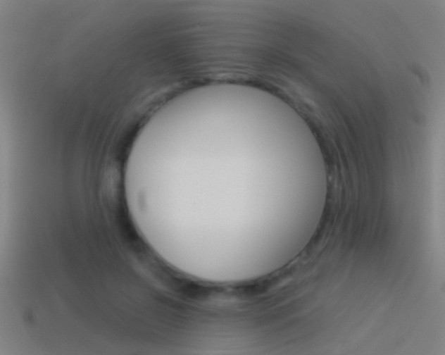 X0000114510550200910190931