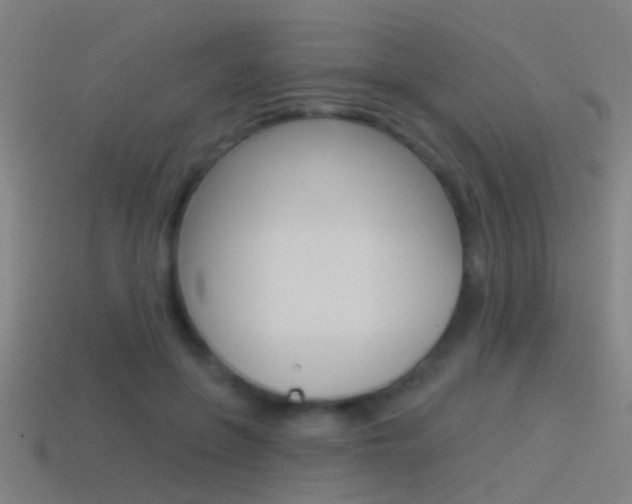 X0000114510551200910190931