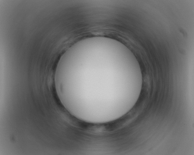 X0000114510554200910190931