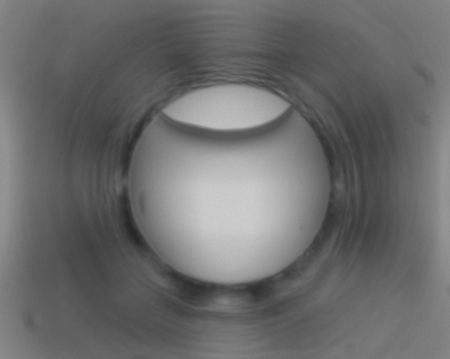 X0000114510555200910190931