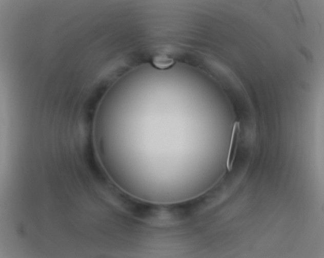 X0000114510558200910190931