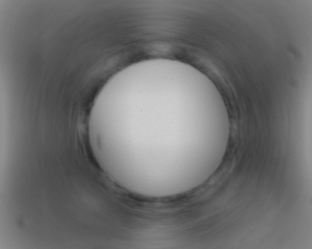 X0000114510561200910190931