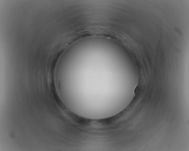 X0000114510562200910190931