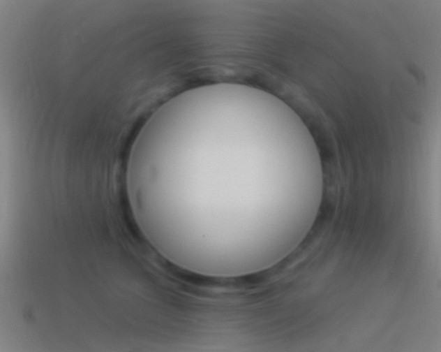 X0000114510563200910190931