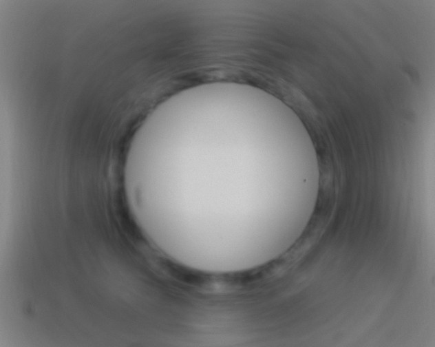 X0000114510565200910190931