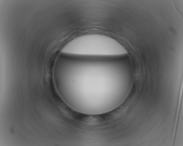 X0000114510566200910190931