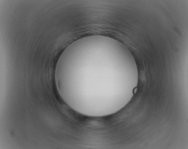 X0000114510567200910190931