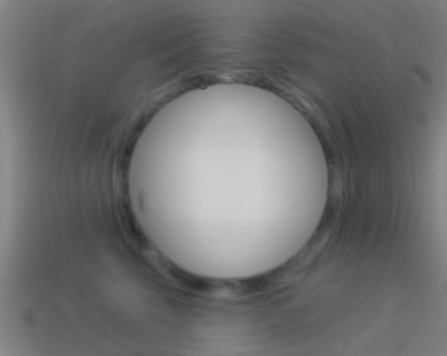 X0000114510569200910190931