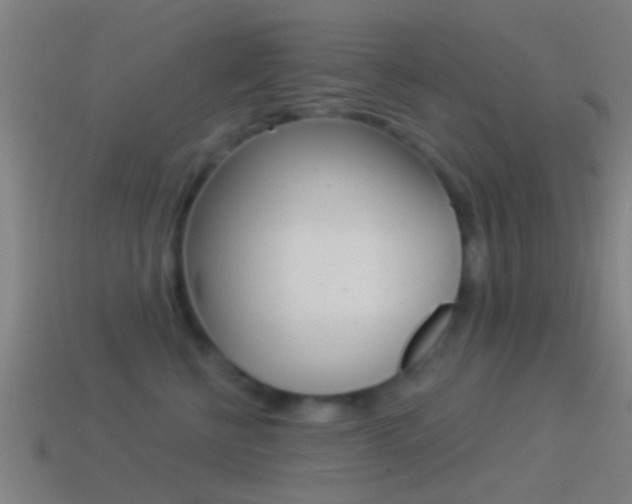 X0000114510570200910190931