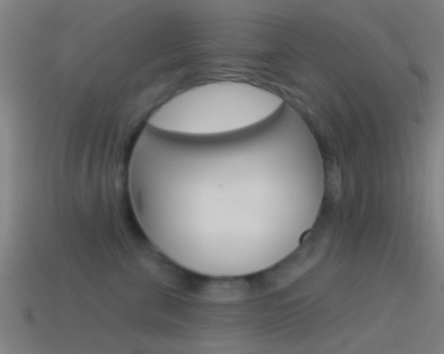 X0000114510571200910190931