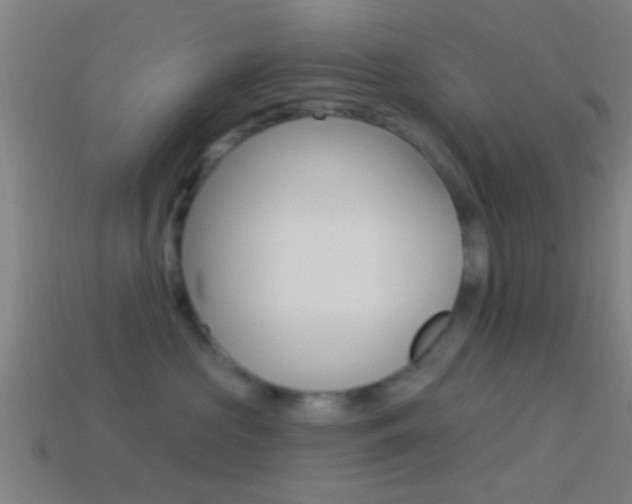 X0000114510573200910190931
