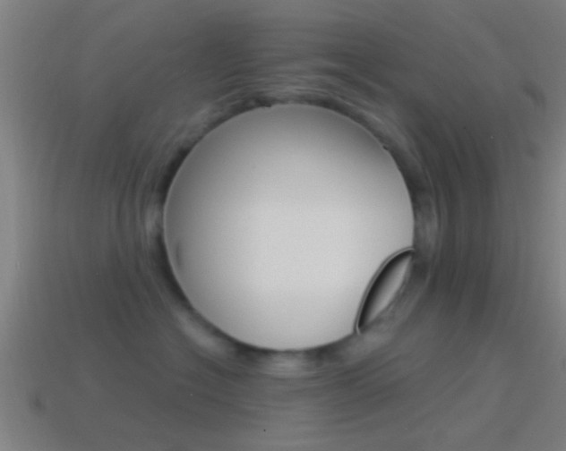 X0000114510574200910190931