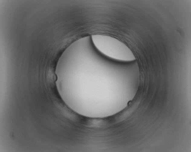 X0000114510575200910190931