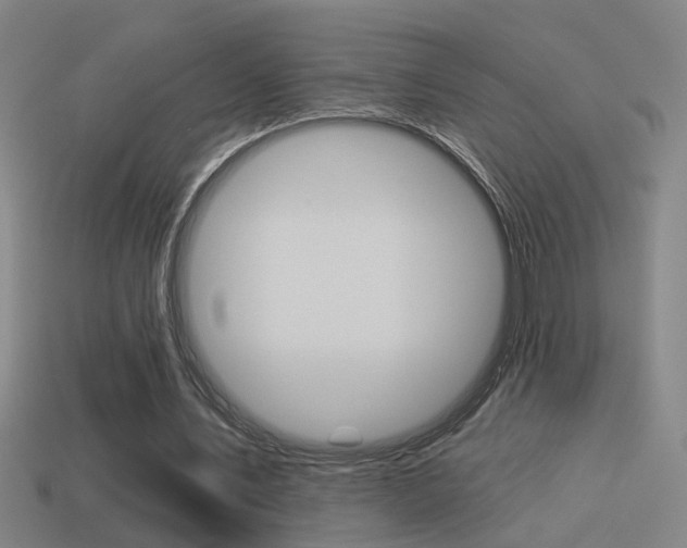 X0000114510579200910190931