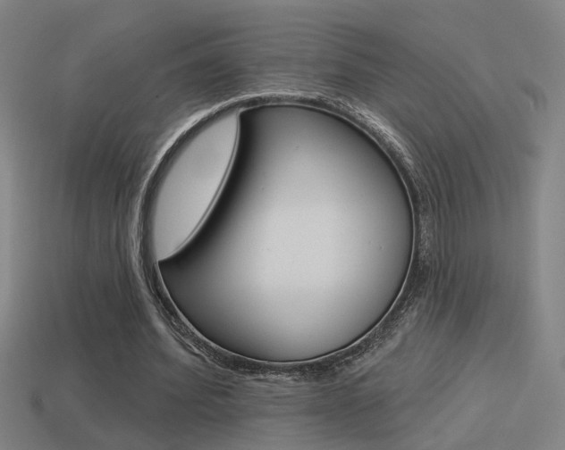 X0000114510580200910190931