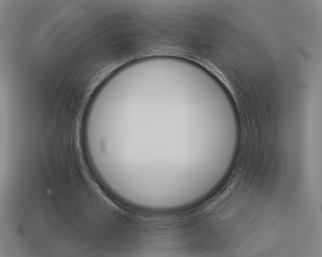 X0000114510581200910190931