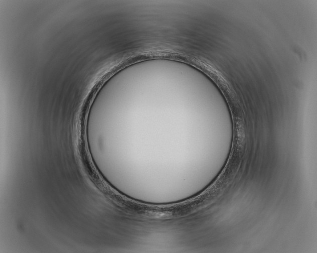 X0000114510582200910190931