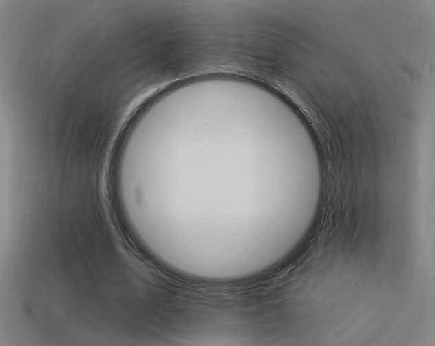 X0000114510583200910190931