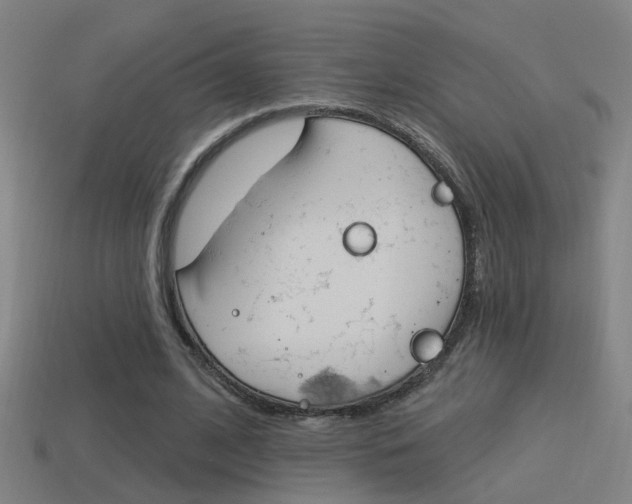 X0000114510584200910190931
