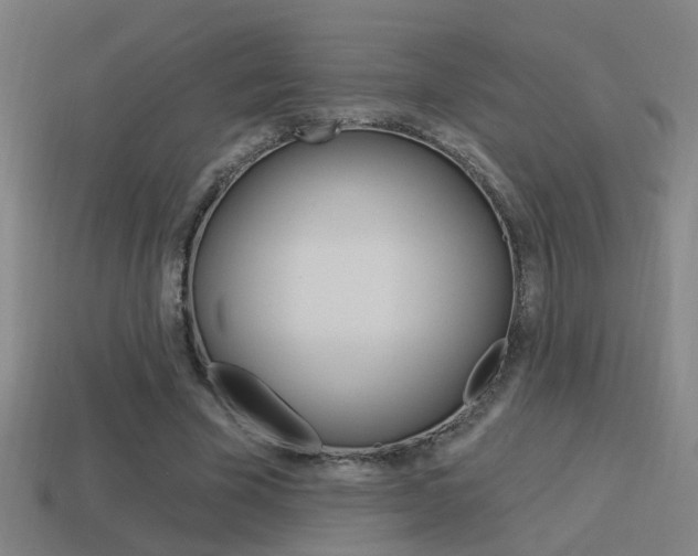 X0000114510585200910190931