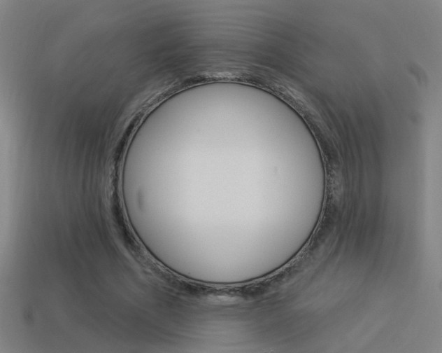X0000114510586200910190931