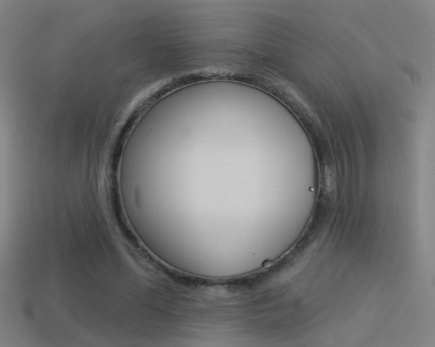X0000114510588200910190931