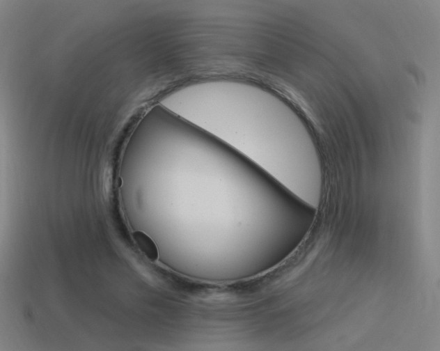 X0000114510589200910190931