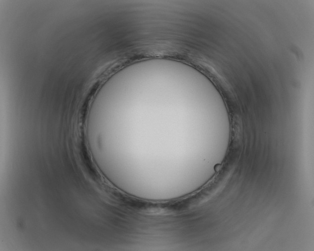 X0000114510590200910190931