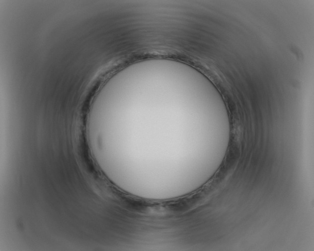 X0000114510591200910190931